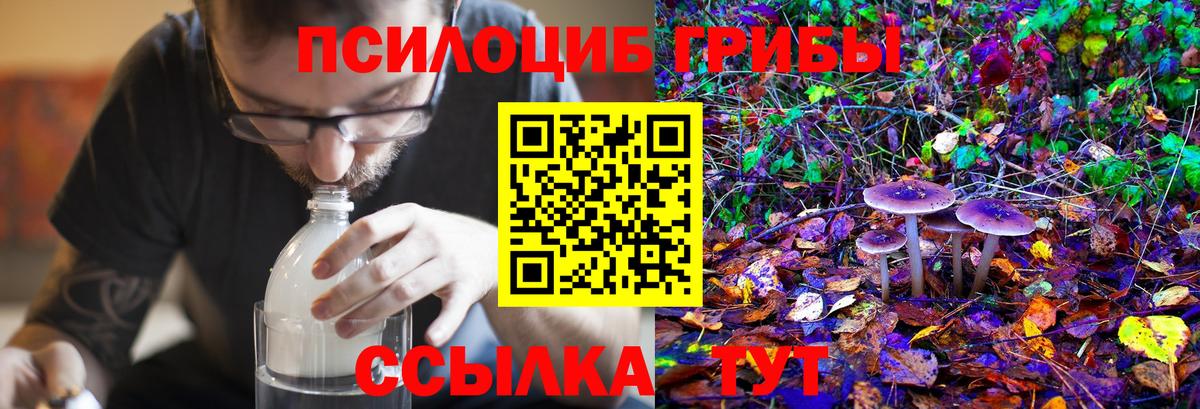 Озёры  Галлюциногенные грибы мицелий  Галлюциногенные грибы Psilocybe  Вход с VPN 
